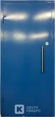 Тамбурная дверь с порошковым напылением ТДМ-007 Тамбурная дверь с порошковым напылением ТДМ-007