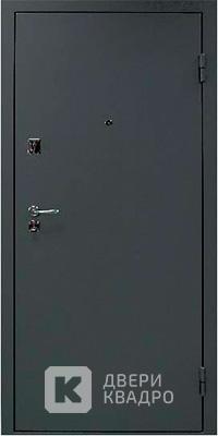 Дверь с порошком напылением ДПМ-001 Дверь с порошком напылением ДПМ-001