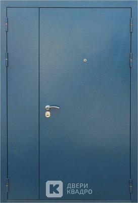 Тамбурная дверь с порошковым напылением ТДМ-019 Тамбурная дверь с порошковым напылением ТДМ-019