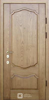 Дверь ТРМ-001 Дверь ТРМ-001