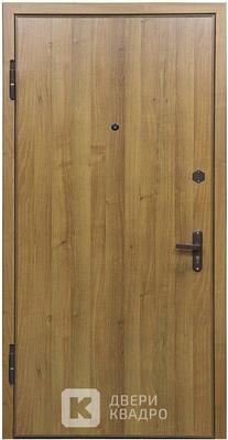 Стальная дверь в квартиру ламинат с двух сторон ДЛМ-006 Стальная дверь в квартиру ламинат с двух сторон ДЛМ-006