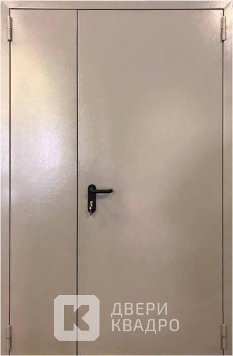 Металлическая противопожарная дверь EI 60 ППМ-013 Металлическая противопожарная дверь EI 60 ППМ-013